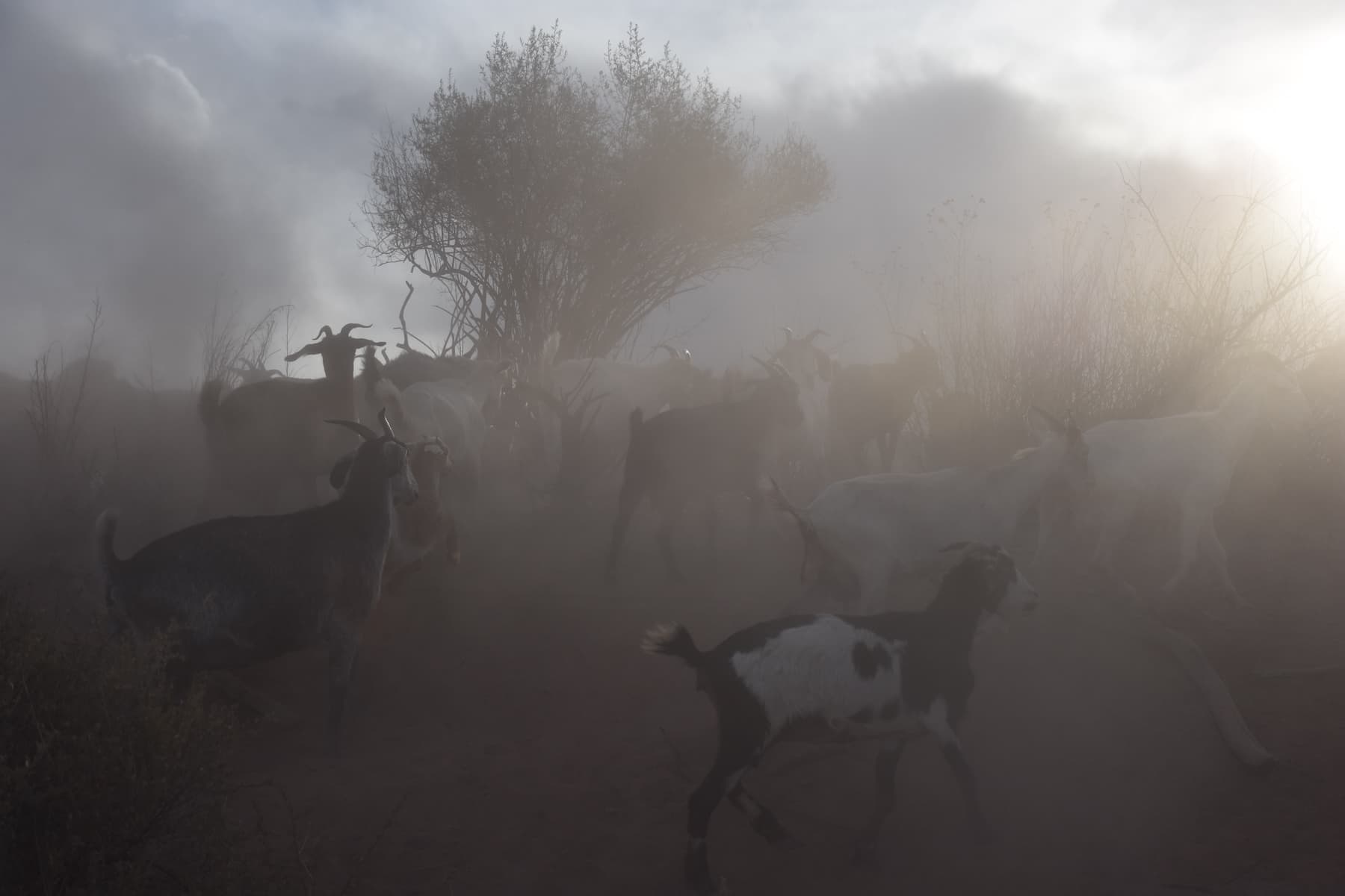 Payogasta, Valles Calchaquíes, Argentina, 2019